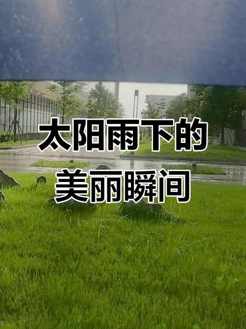 太阳雨

太阳下细雨飘飘
讯号唤醒大地沉睡的细胞
微风绕绕美妙曲调
飘飘绕绕
绕