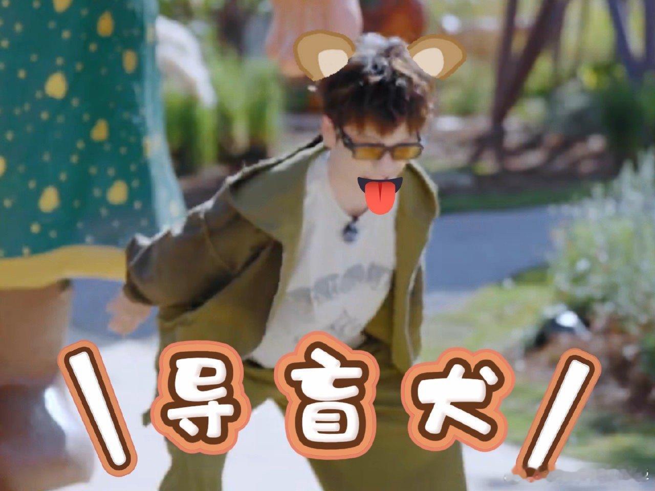 王栎鑫一听苏醒需要小狗就来劲了 谁被王栎鑫这波操作笑到？财神装置要帮手，一听说苏