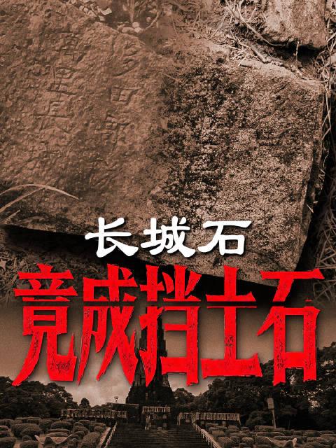 239块中国石材还在日本！央视记者探访发现：长城石材竟被拿来挡土。

2026年