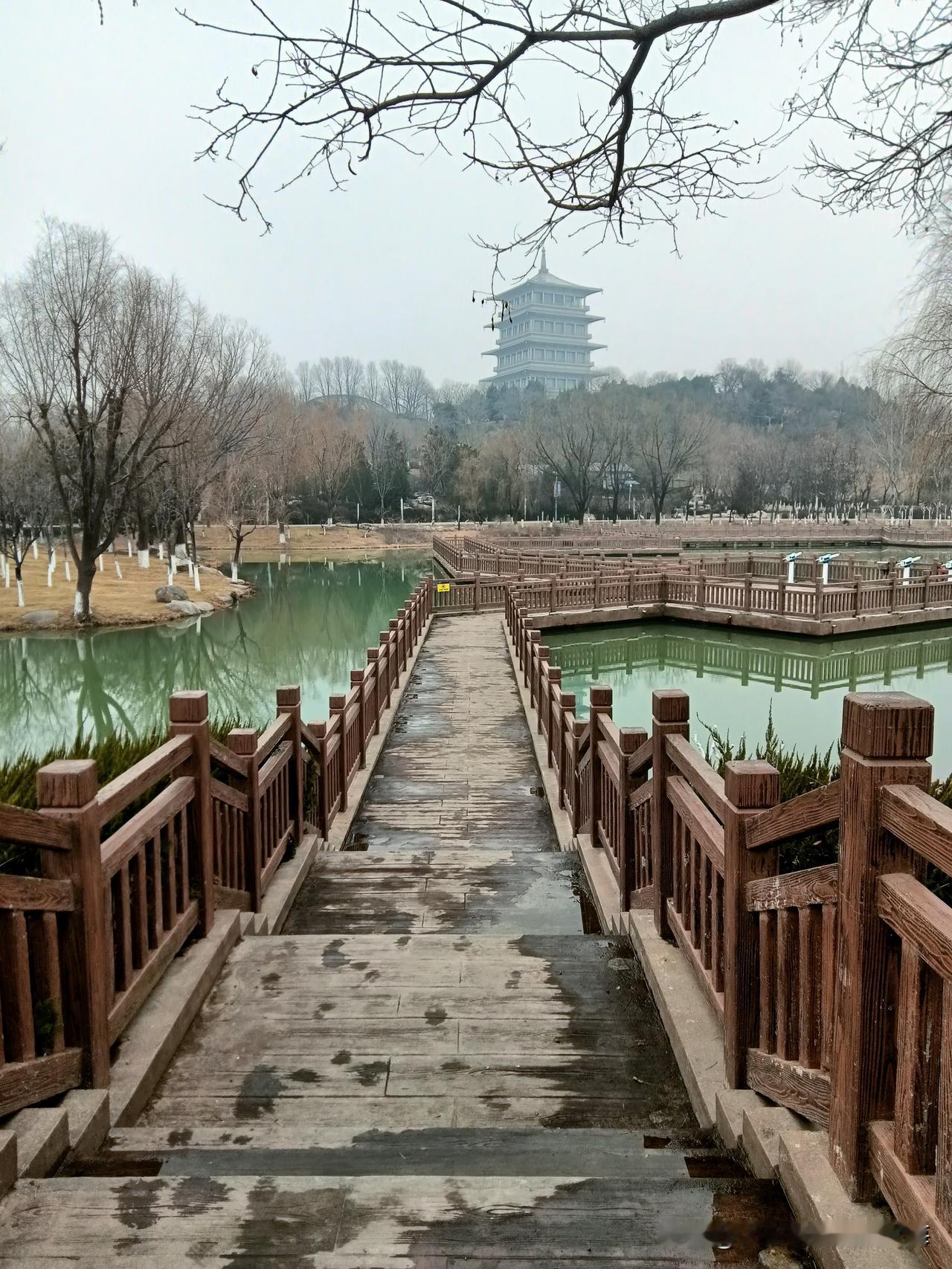 这是我昨天下午从世园会公园一路“摸索”到灞河边的“有感画质”。看看一眼望去尽是“