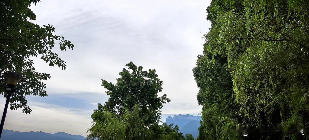 小溪春水萌