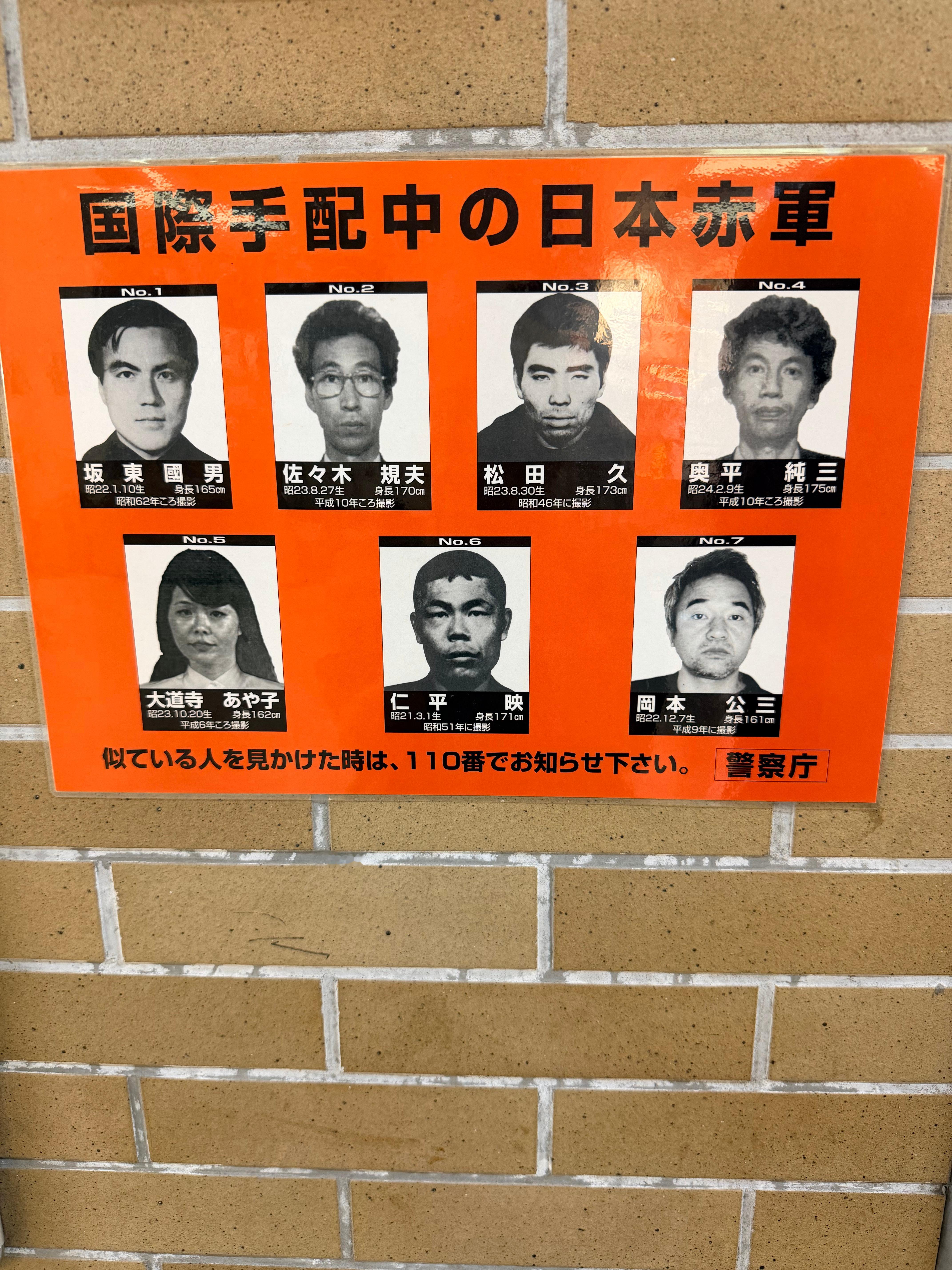 日本的坏人长得好坏人呀 