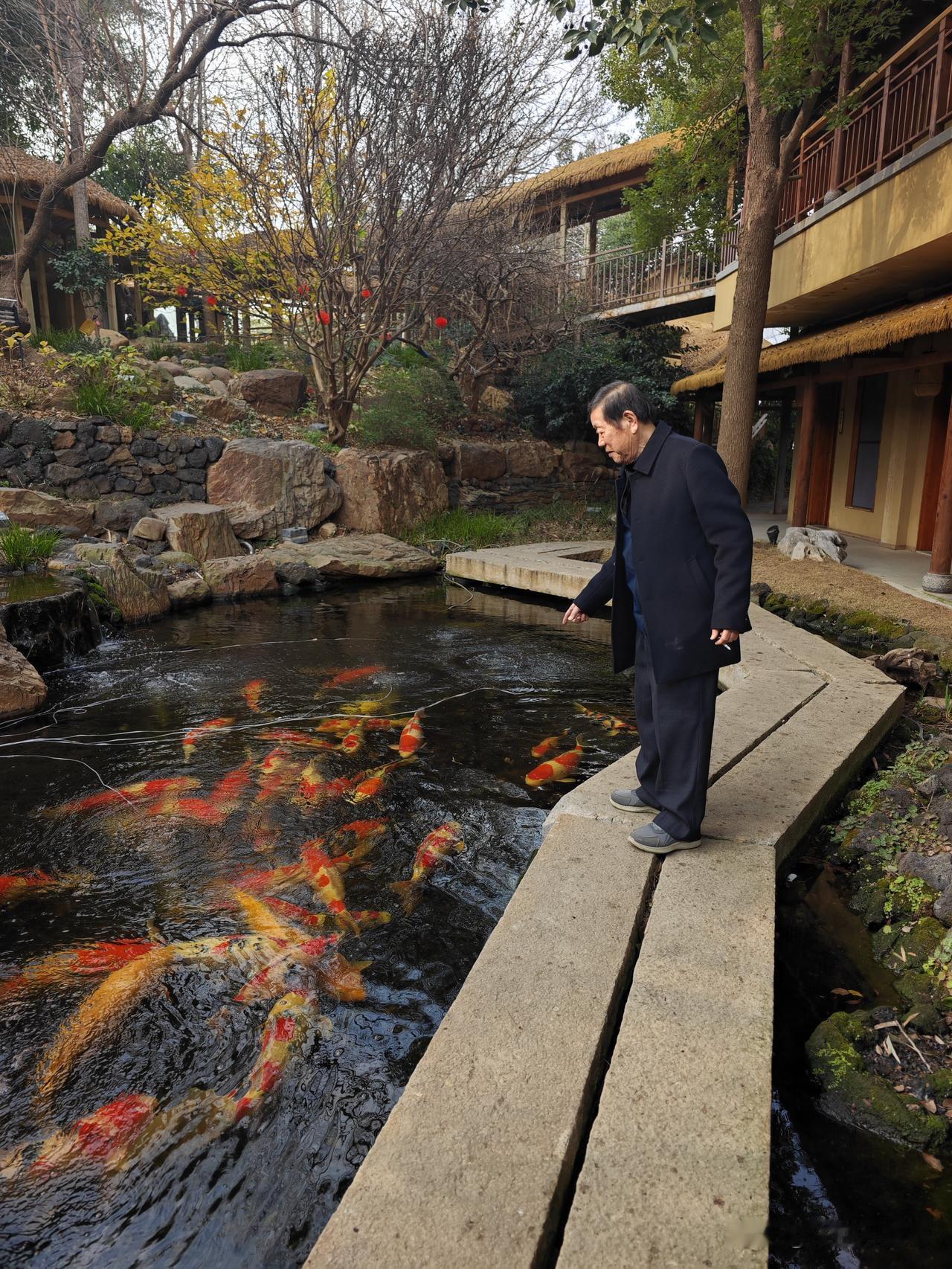 长安要起飞的节奏，天天形势大好。