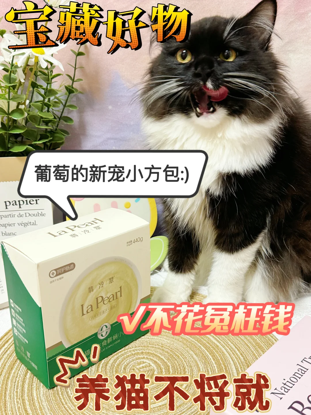 这个冬天❄️有翡冷翠就够了！