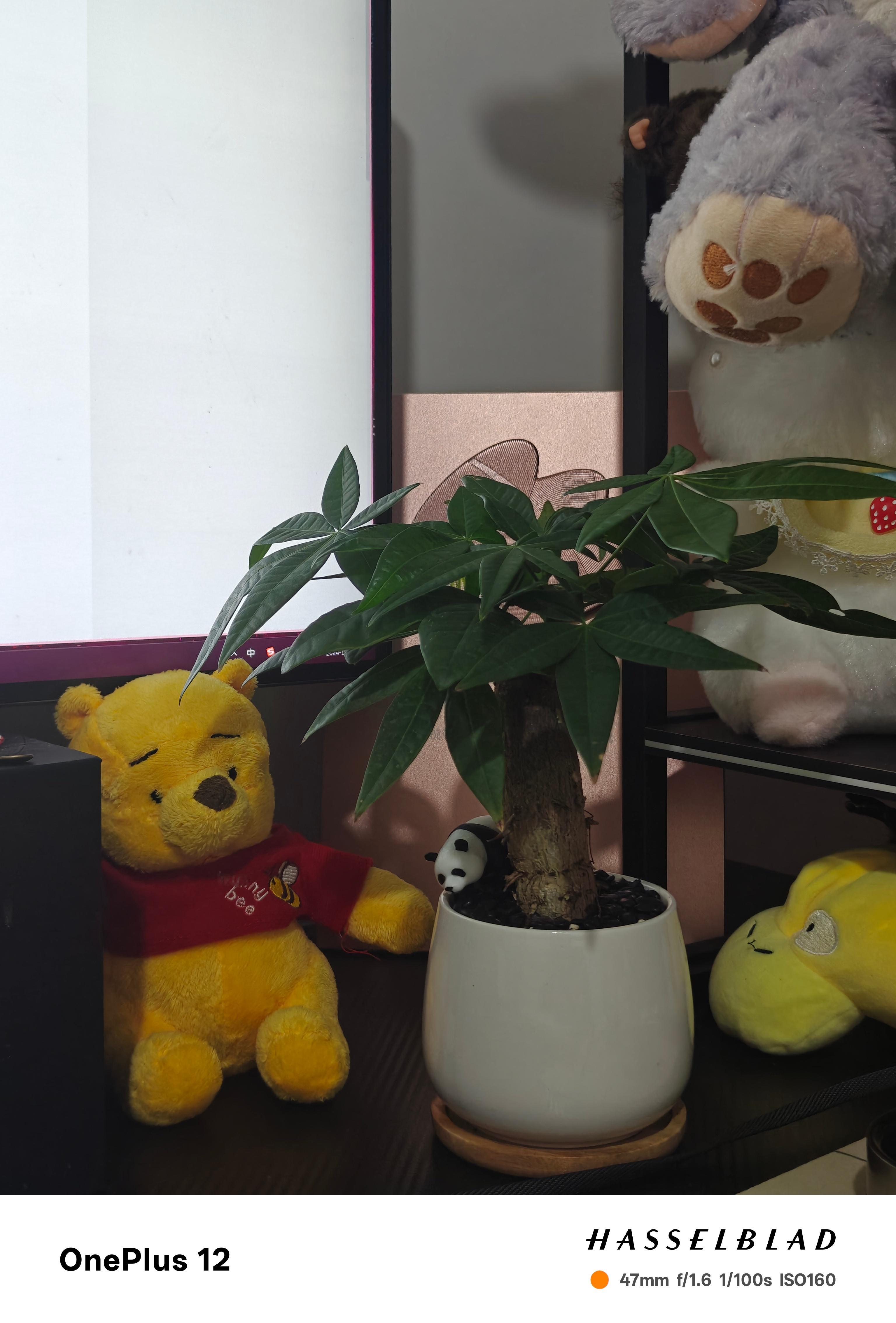 十二月请对关注我的朋友们好一点[作揖] 