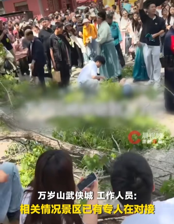 知名景区发文致歉！多名游客被砸，最新情况→