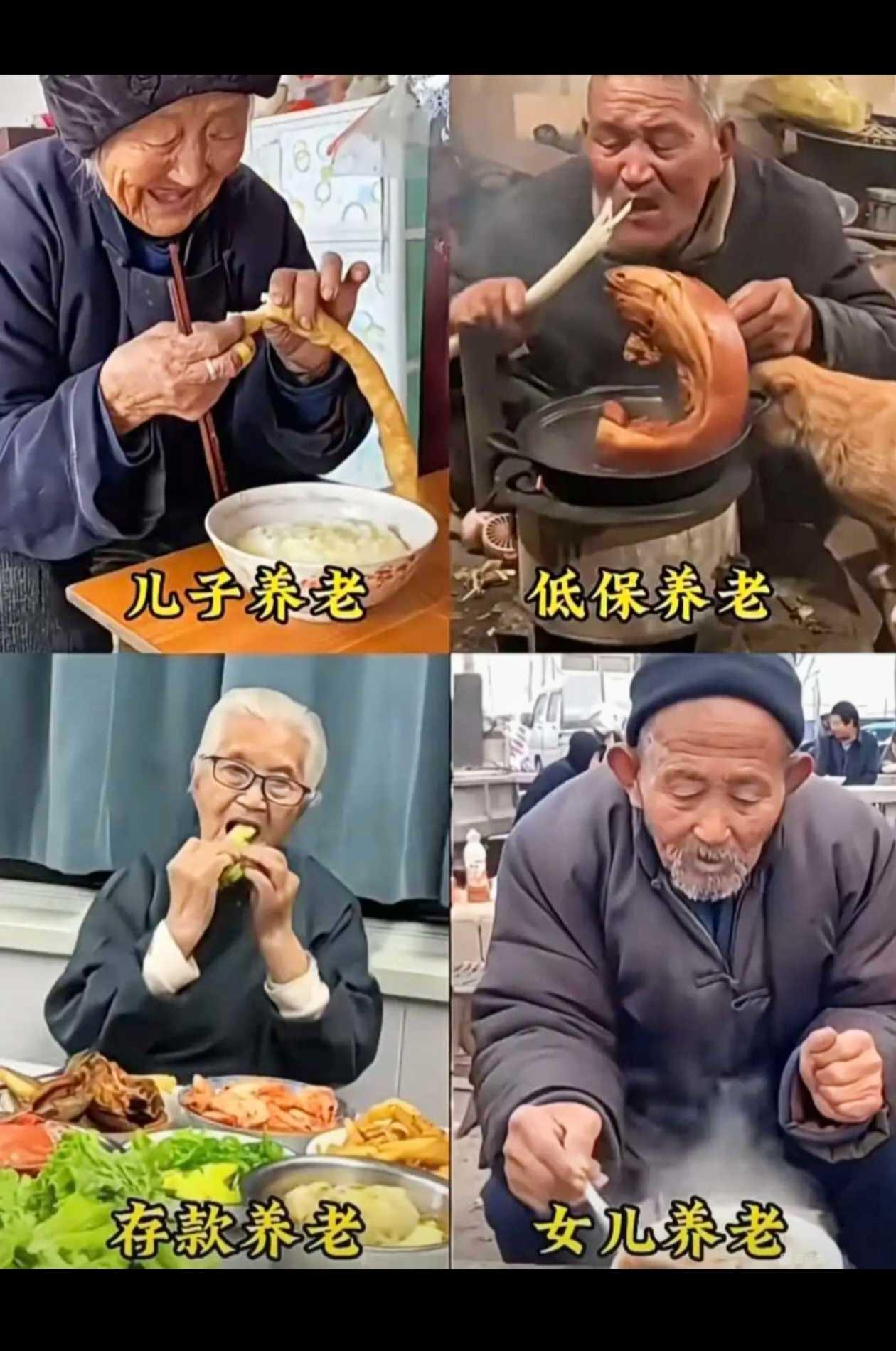 哪个养老最靠谱