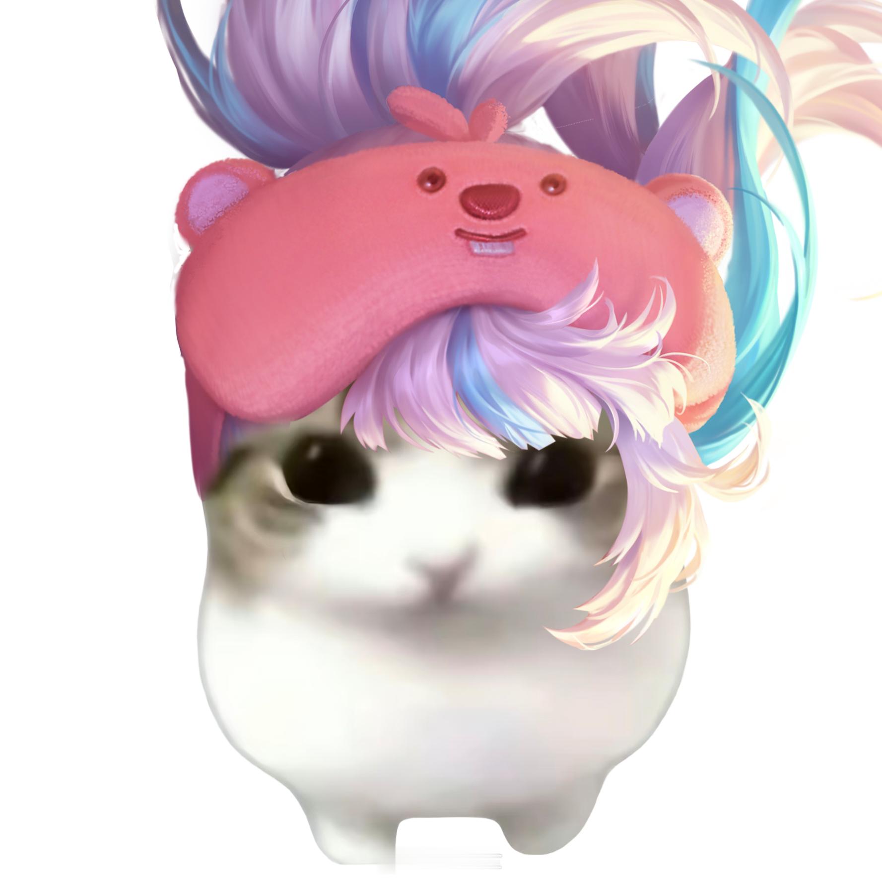小猫咪并没有失去妙脆角~王者荣耀王者荣耀