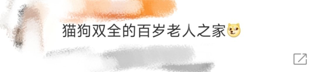 猫狗双全的百岁老人之家百岁老人沈之衡也是过上了我想要的生活，右手布偶猫左手邪恶摇