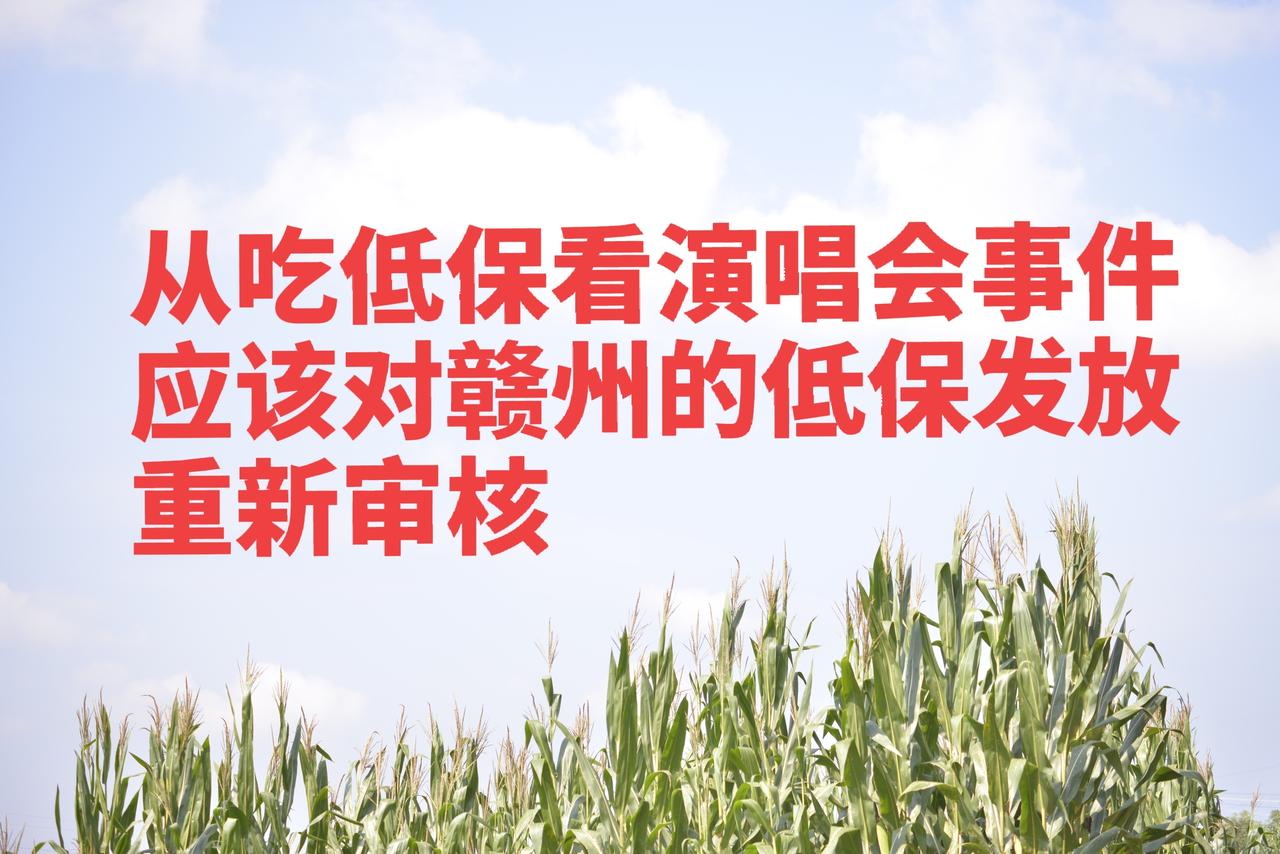 要对低保发放重新审核一遍。根据吃低保去看演唱会这个事件，可以看到，有些地方对低保