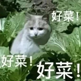 互联网嘴替表情包来啦 ​​​