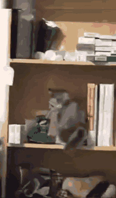 小猫找到火腿肠，是因为开心吗？下一秒就失足了？