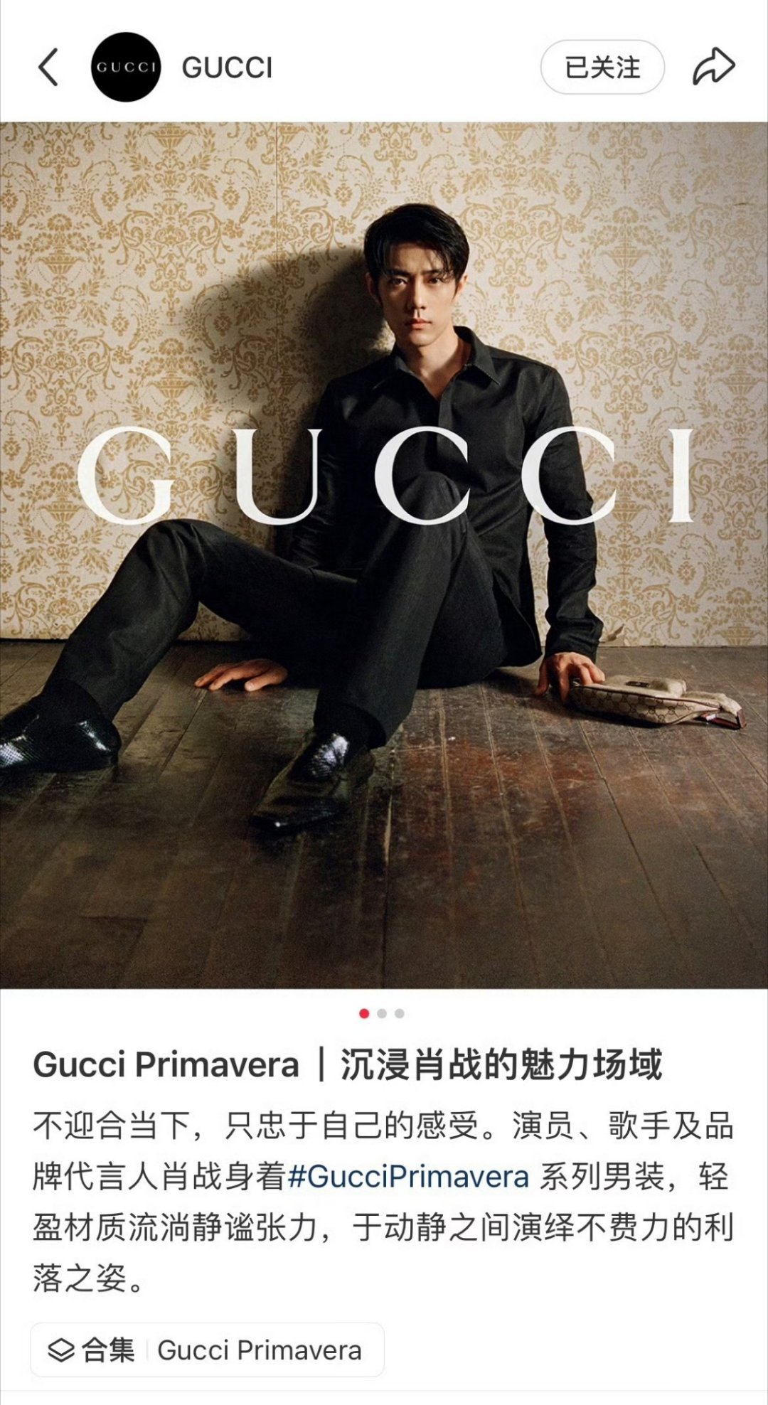 GucciPrimavera全球代言人肖战的第八支全球广，wwd头版封面，Guc