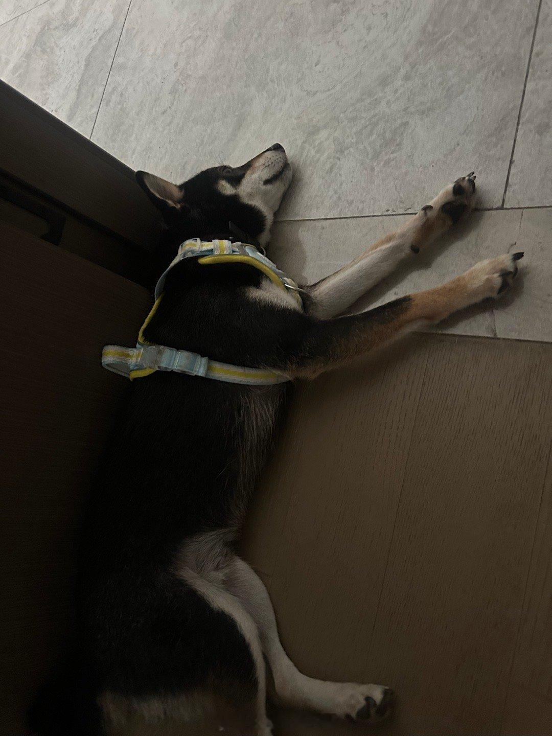 希望我们都能睡个好觉 做个好梦 ​​​