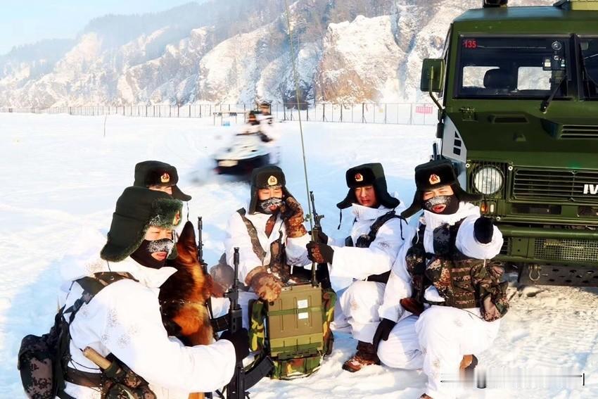 🌪️ 艰苦的真相：与极限环境共存

- 缺氧与极寒：在海拔 4900 米以上的