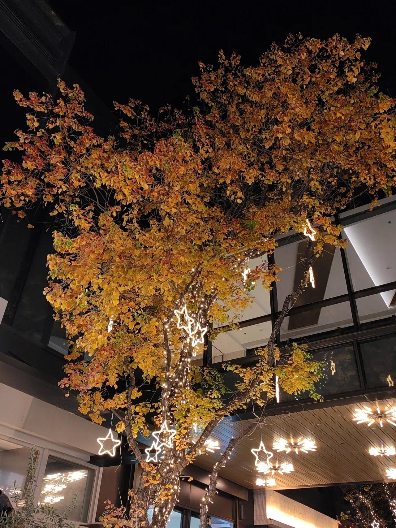 有一个词“洗房”，是什么意思？
就是男方家早早准备好了婚房，婚后，女方各种挑毛病