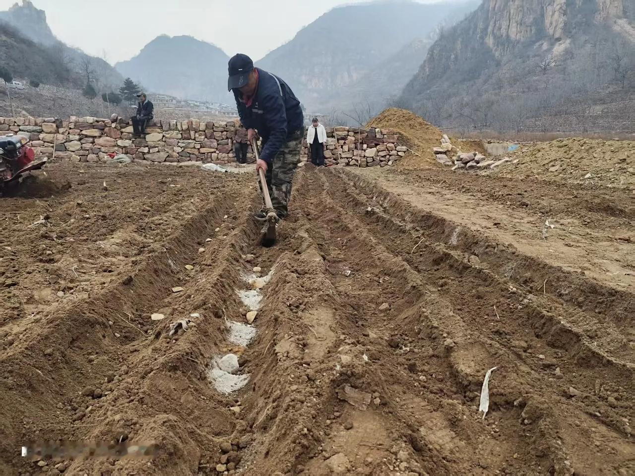 阳光明媚地温升
文/冰笑
窗外云寒风已轻，
乍暖河谷土豆种。
前段时日飞雨雪，