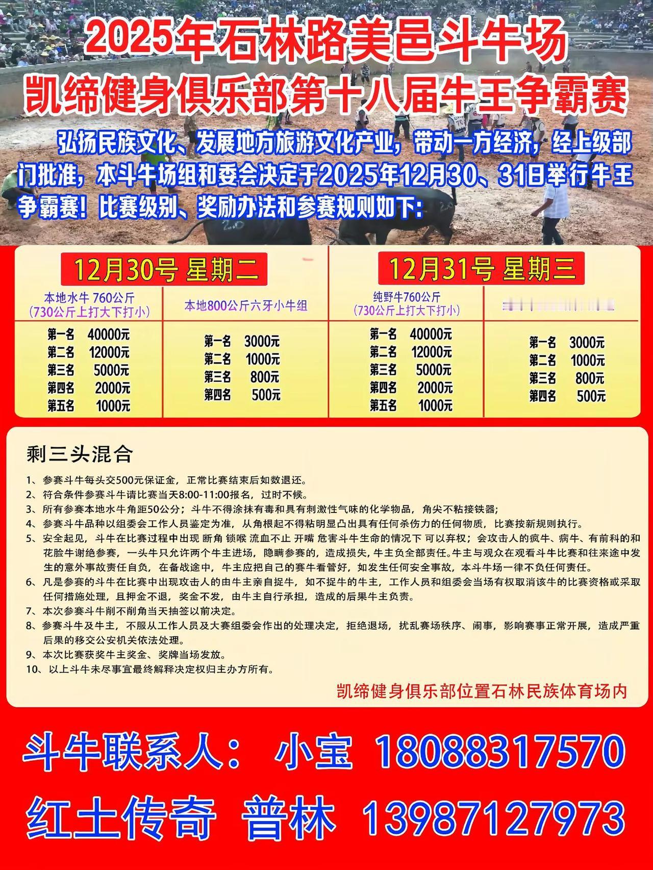 路美邑斗牛比赛新曾本地水牛80六牙 跟800公斤野牛