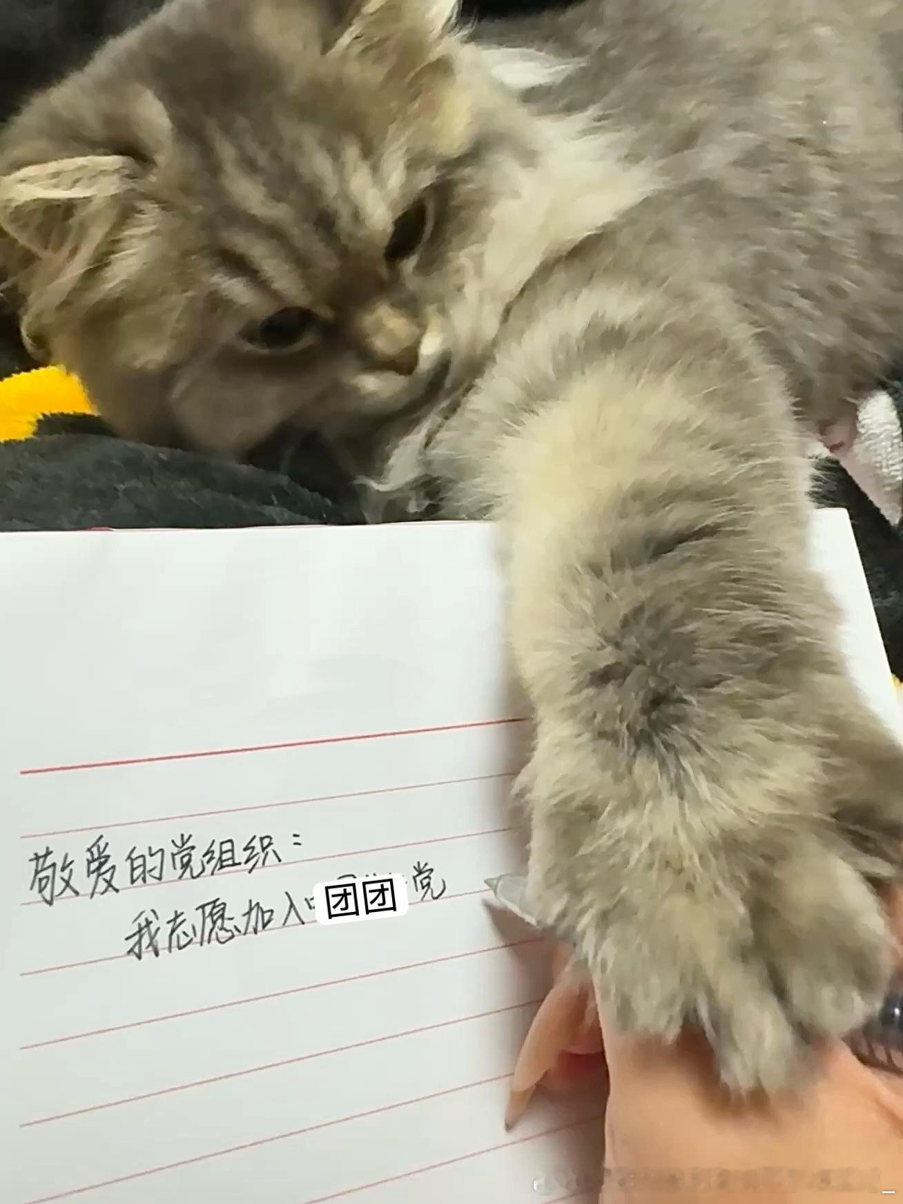要么退出互联网 要么加入团团党 