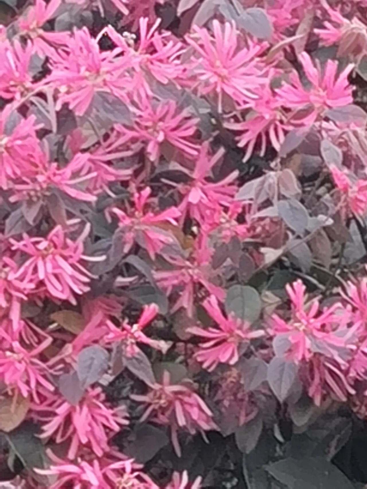 早晨的微笑，是幸福的开始，每天的开心，是健康的保证。不为往日忧，只为余生笑！愿我