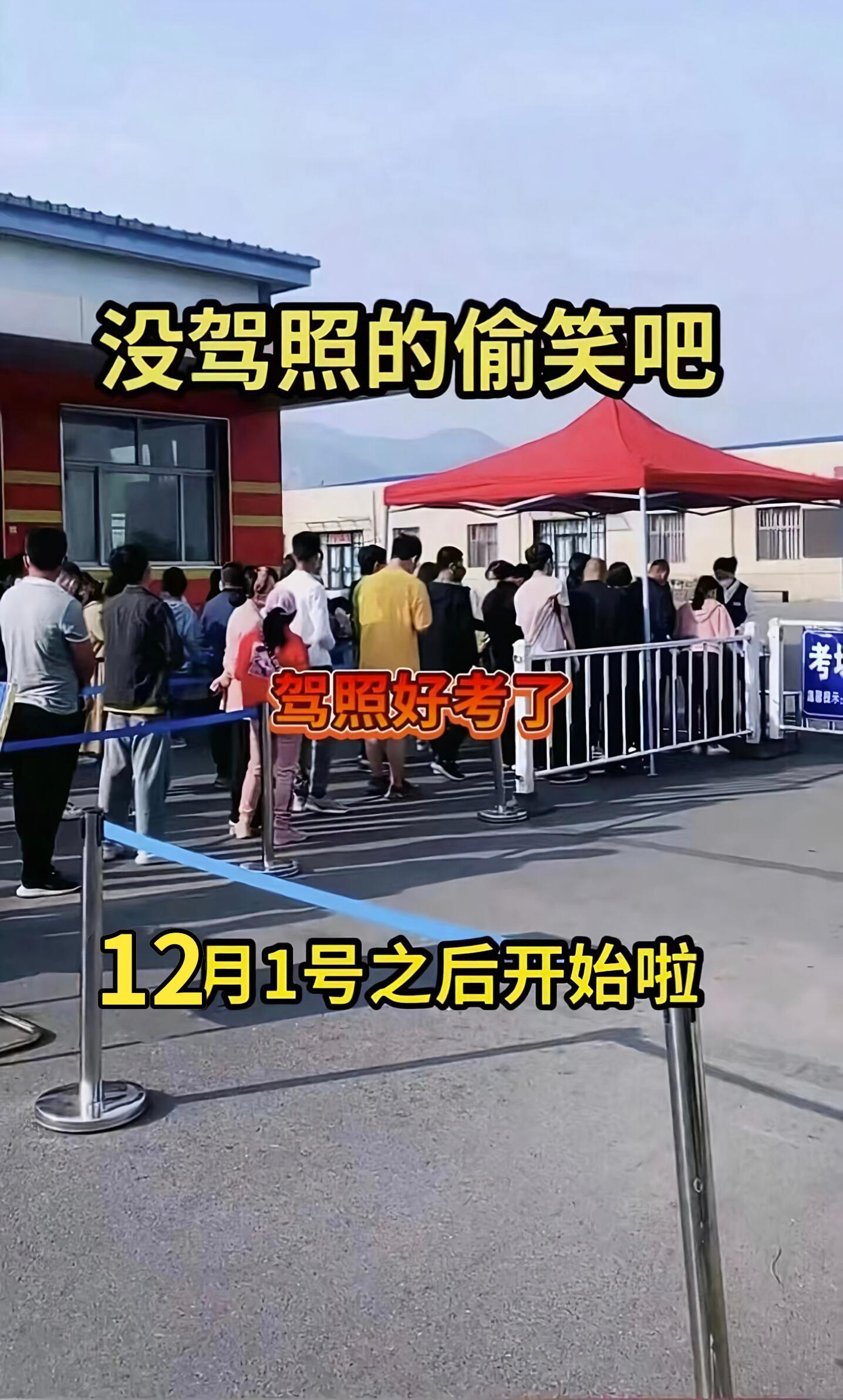 驾校学车 科目一科目四理论技巧辅导 逢考必过 驾考一把过 科目一