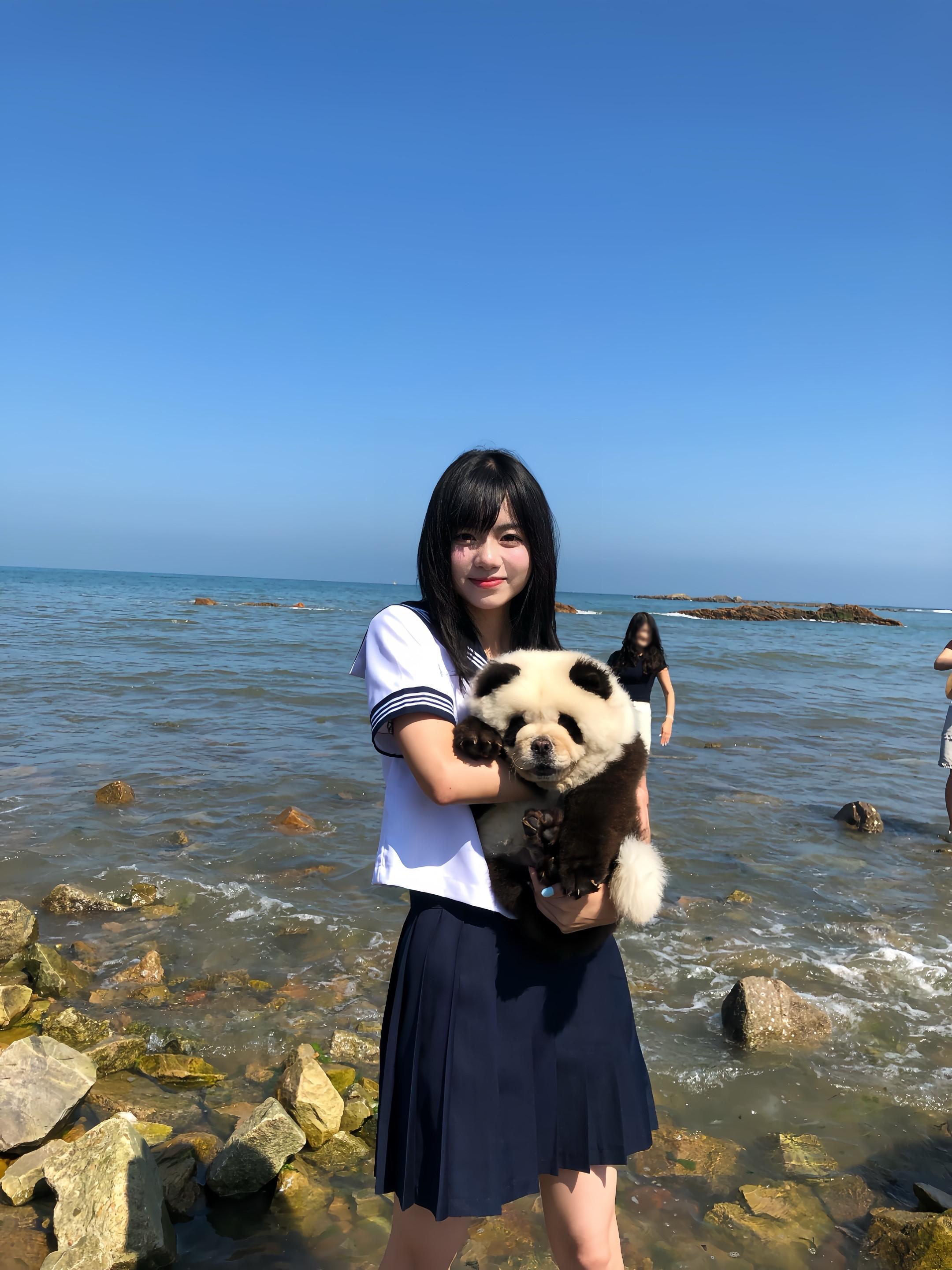 我保证我是天使 骗你是熊猫犬。