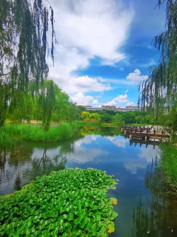 夏天就是一个充满活力与美好的季节啊！就像那短信里说的，风给人清凉，月带来幸福。在