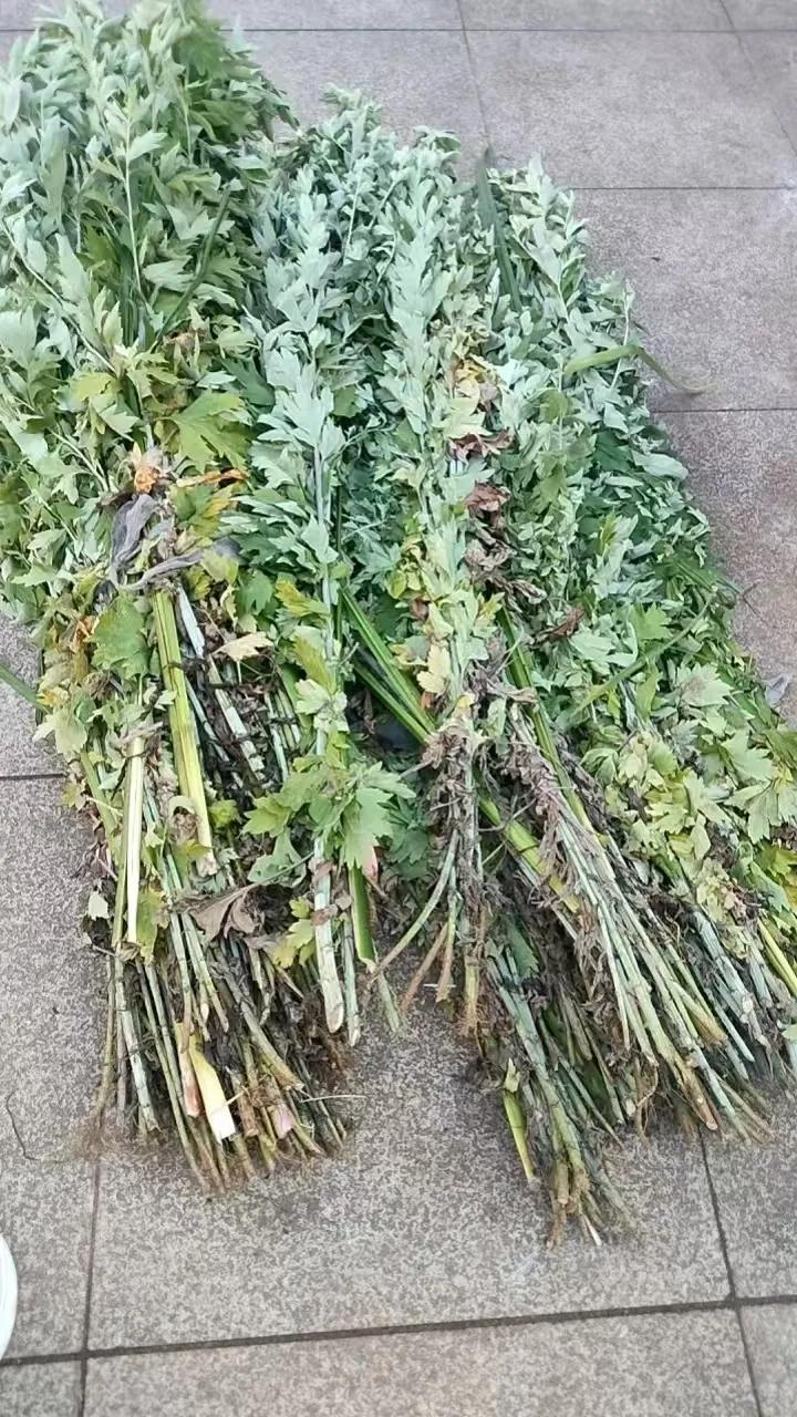 端午节快乐

今天是2025年5月31号农历五月初五，中国的传统佳节端午节端午节