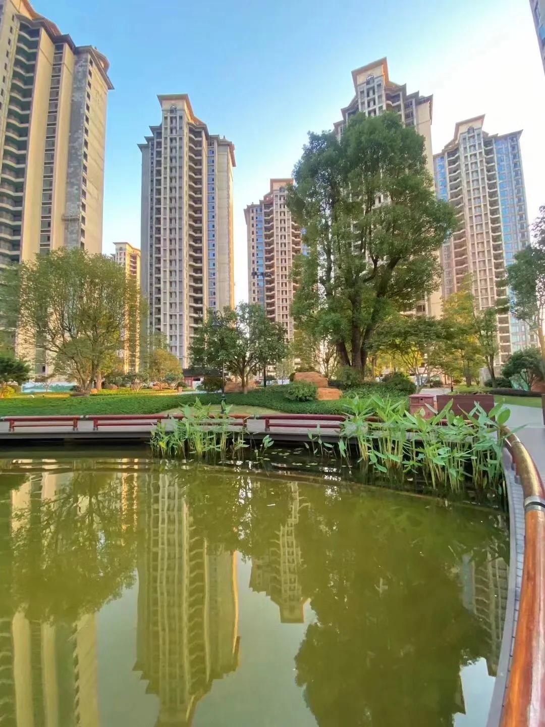 #现在有钱是买房好，还是买股好#股市风险太大，我会优先选择买房，而到哪里买房也是