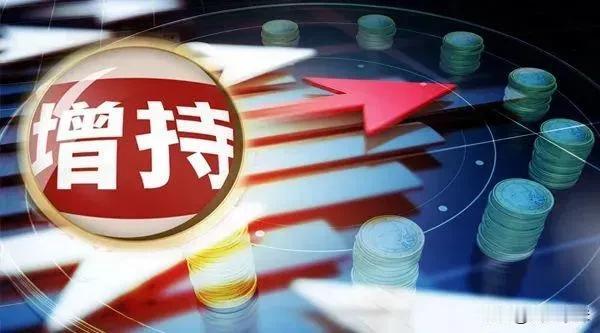 “国家队”大动作！

三季度耗资2600亿元增持4只沪深300ETF。

中央汇