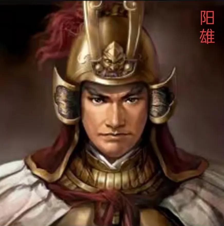 阳雄，字元略，是西魏到北周时期的将领，出身于上洛郡邑阳县（今陕西省洛南县），是郃
