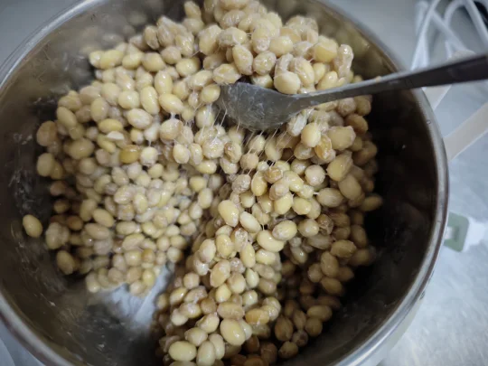 做纳豆成功，可以实现纳豆自由了