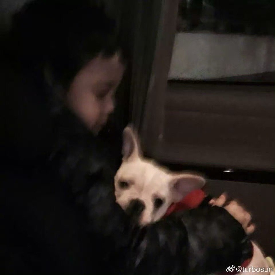 孙俪家的小狗奶牛去世 8日，孙俪发文透露爱犬“奶牛”一个月前去世了。儿子等等为它