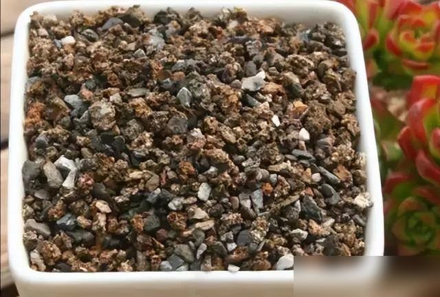 天呐！烧完的蜂窝煤渣居然是养花神器？我昨天还把一箱煤渣往楼下垃圾桶送！最近刷到好