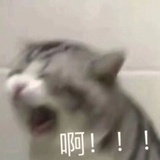 大金头热谈社会