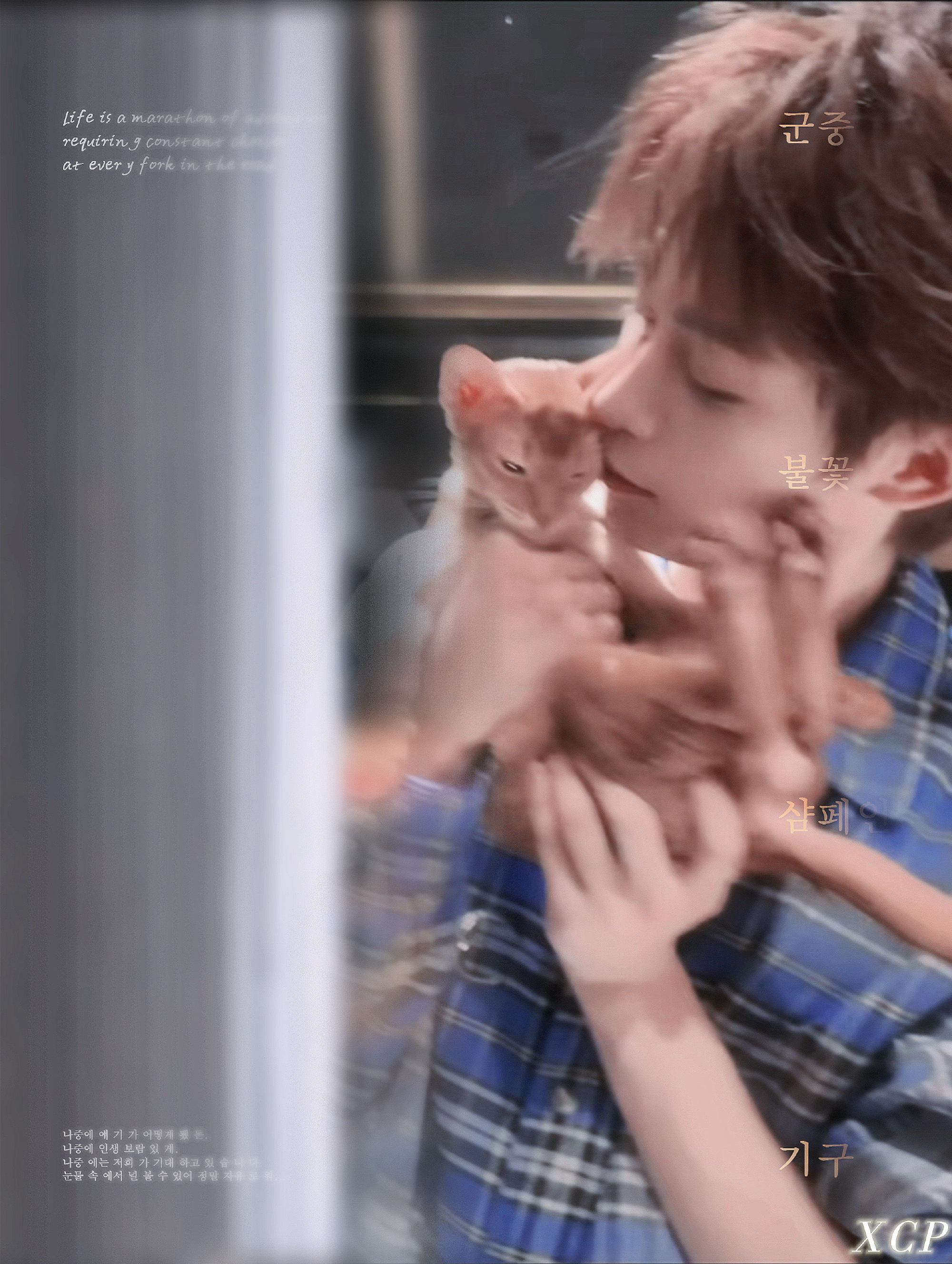 梓渝 zy梓渝未来可期 “且视他人之凝目如盏盏鬼火，放心大胆的走你的花路.”