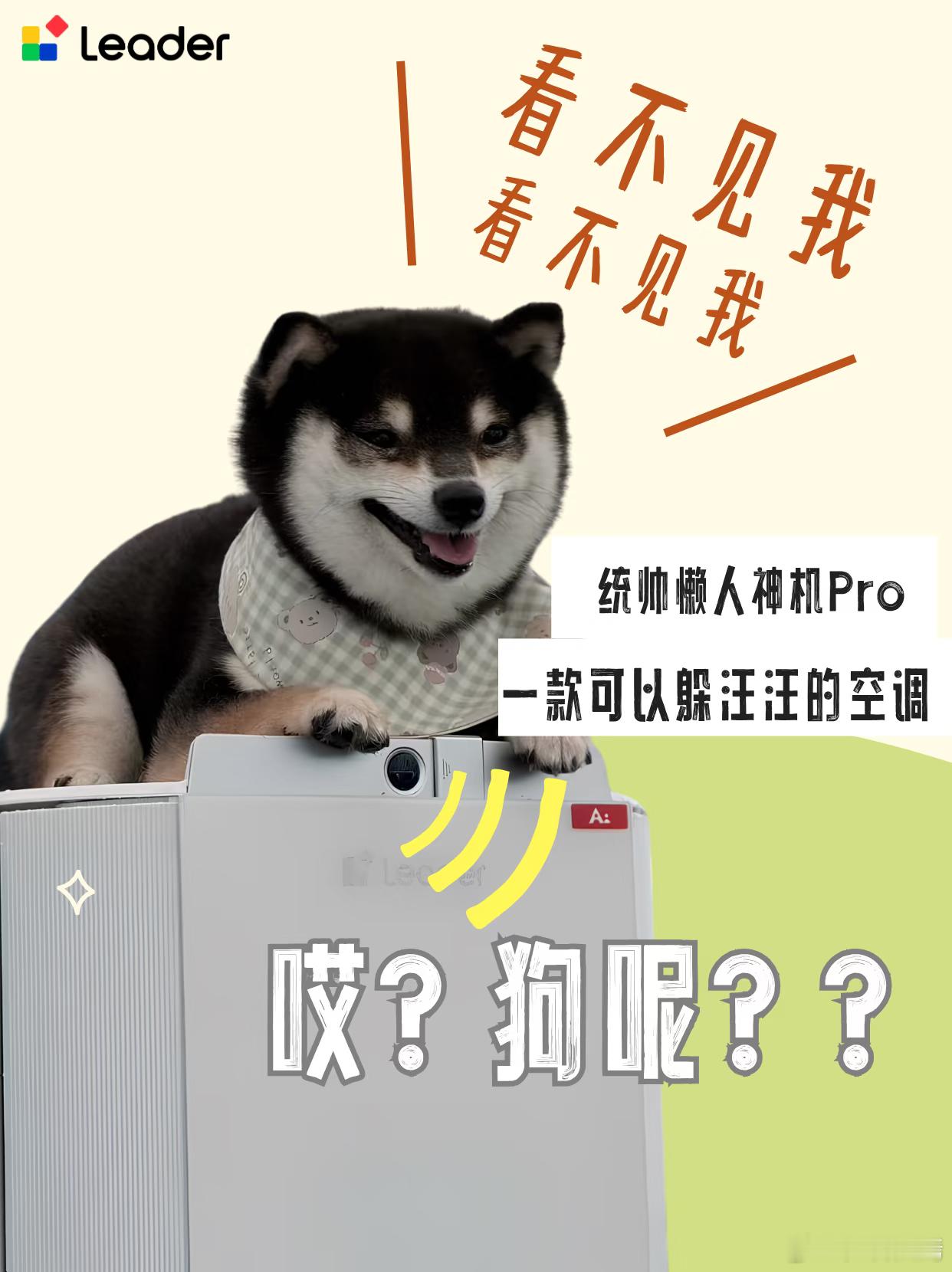 夏天要不要给宠物开空调 养宠家庭夏日刚需空调！统帅懒人系列懒人神机Pro太懂铲屎