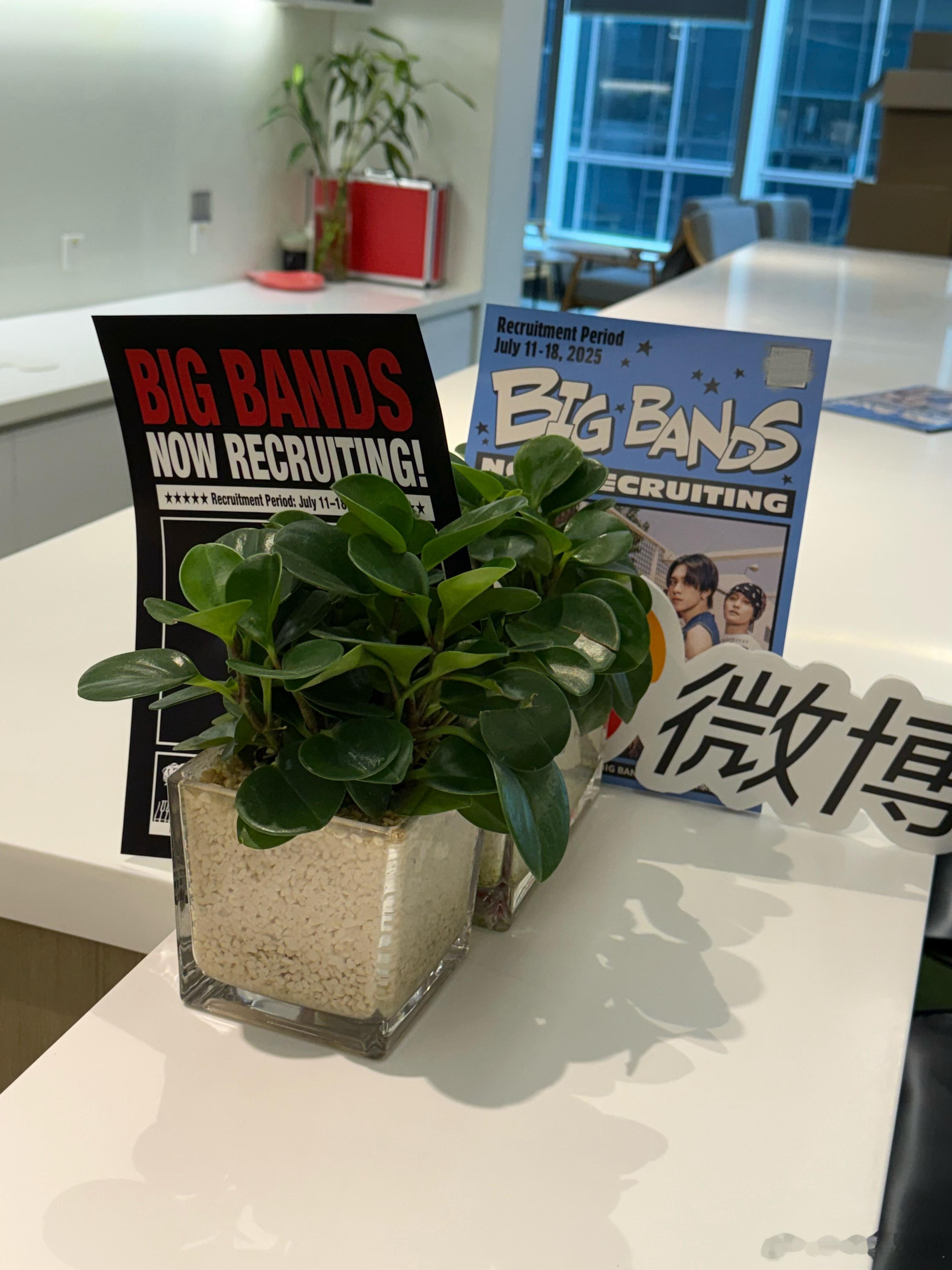 🥁新地点公开 SINABIGBANDS NOW RECRUITING🔥🔥?