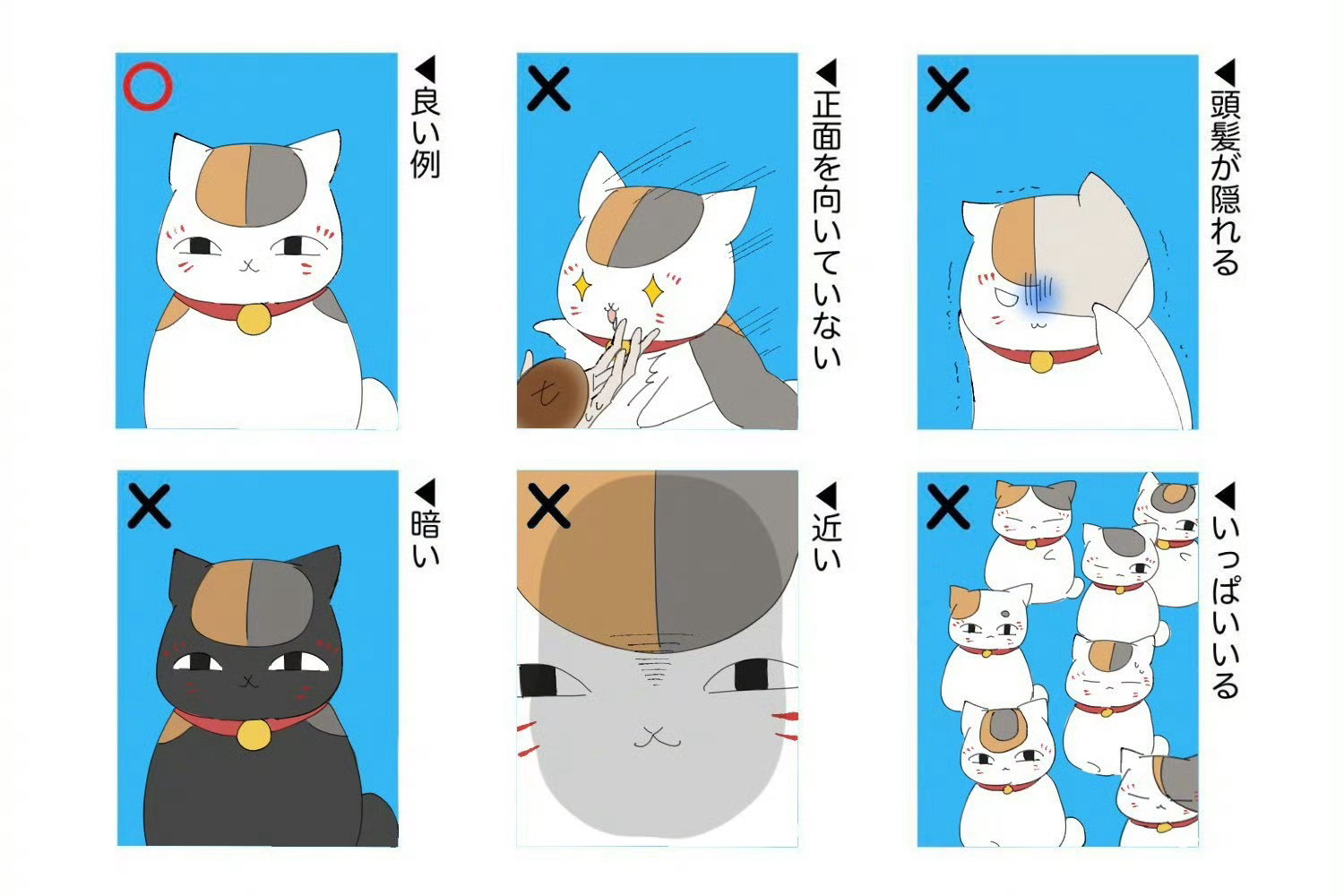 夏目友人帐猫咪老师 论一只小猫咪的镜头感到底有多好.绘：amaoto_milkt