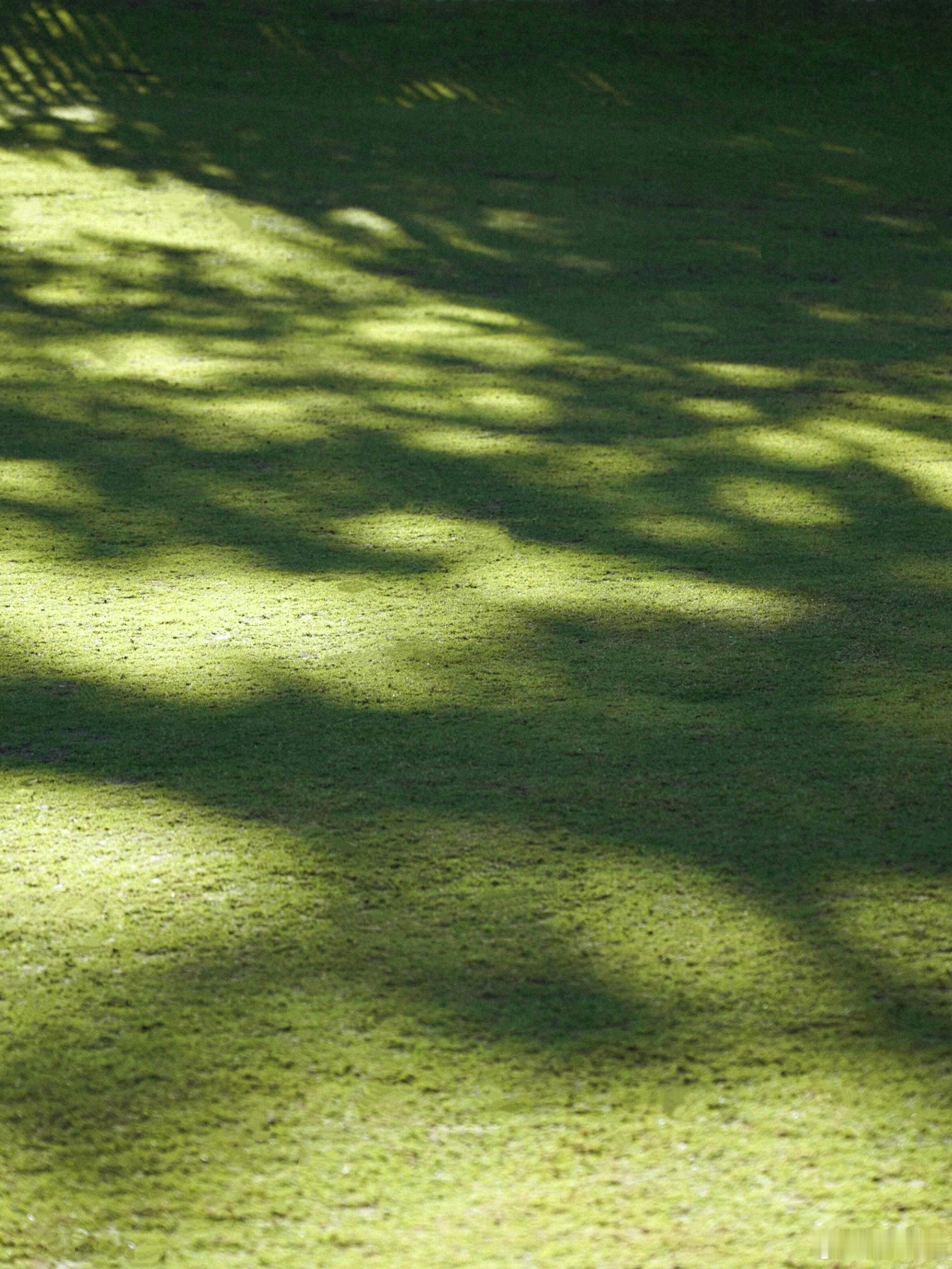 山鸟与鱼不同路，不用去纠结别人喜不喜欢你，或者为什么他的最好的朋友不是你，因为在