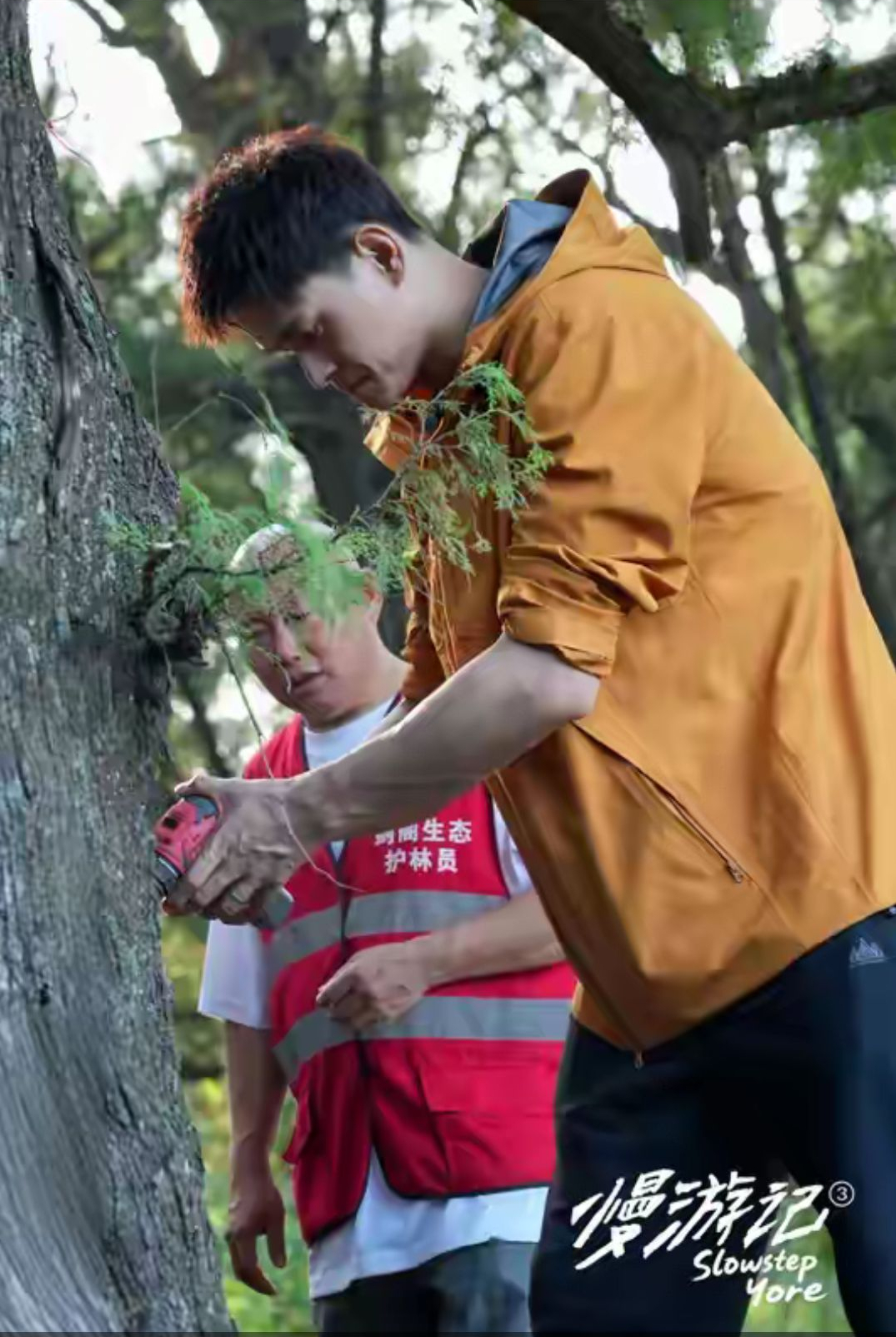 SWim进行时 『9472』20260216 新年日常掉落流水会祝福前行的泳士，