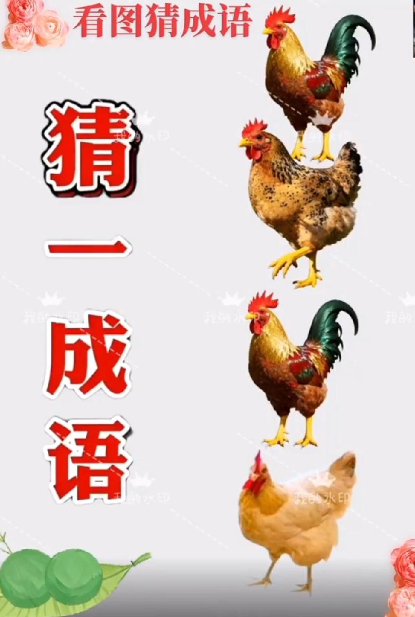 4只鸡叠罗汉！猜一成语，能答对的都是脑力王者，你敢来挑战吗？