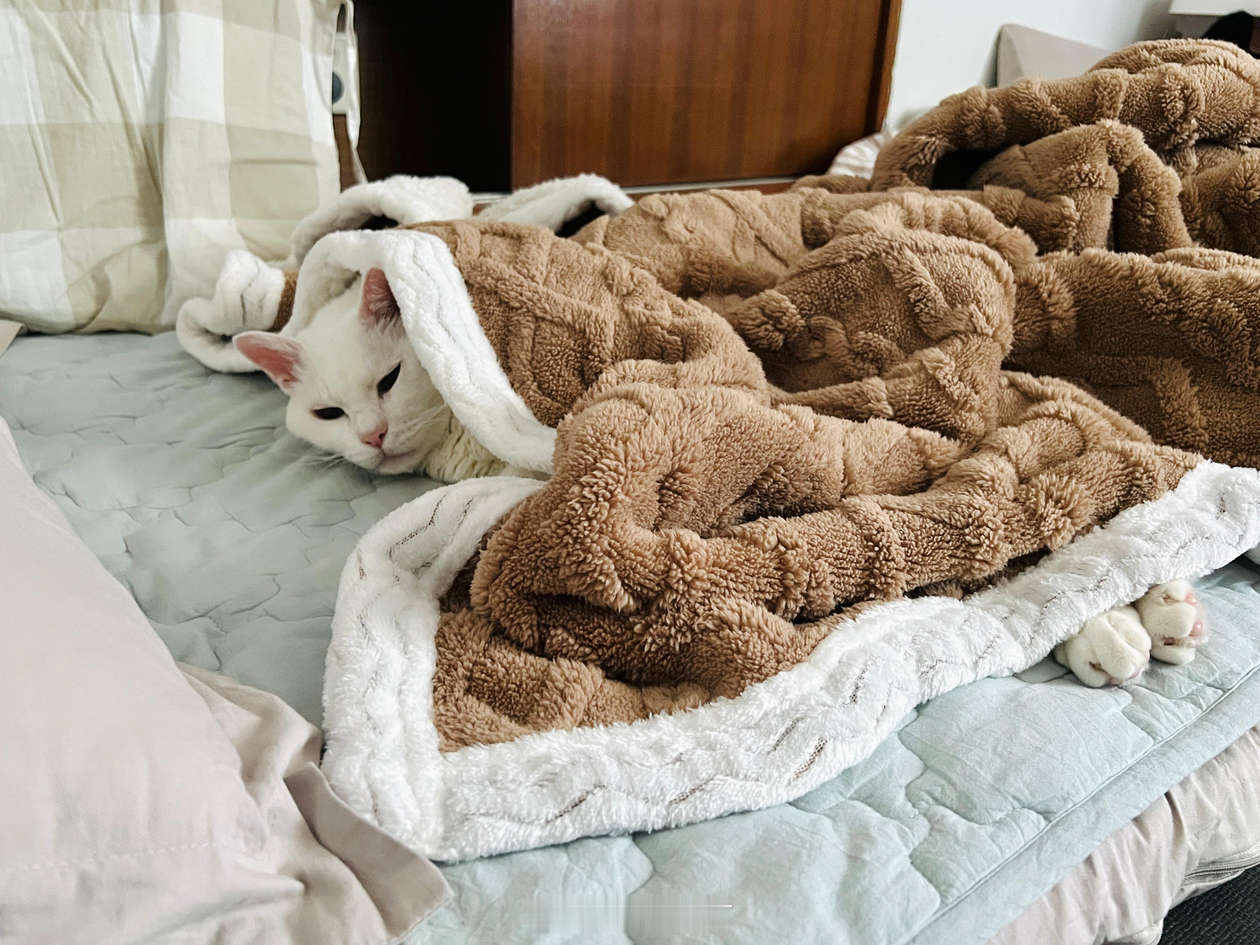 廣州今天好乾燥，最怕和小毛頭們靜電⚡️ 