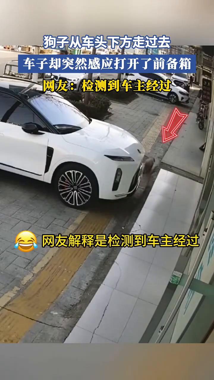 狗子从车头下方走过去，车子却突然感应打开了前备箱。网友：检测到车主经过。
前备箱