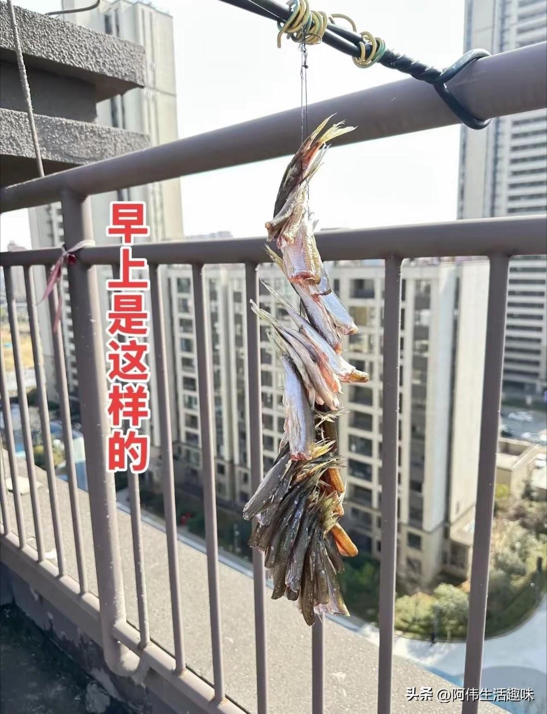 真是无语了
早上好好的在阳台晾晒鱼干
到下午时候打算收回来
结果鱼干不知道哪去了