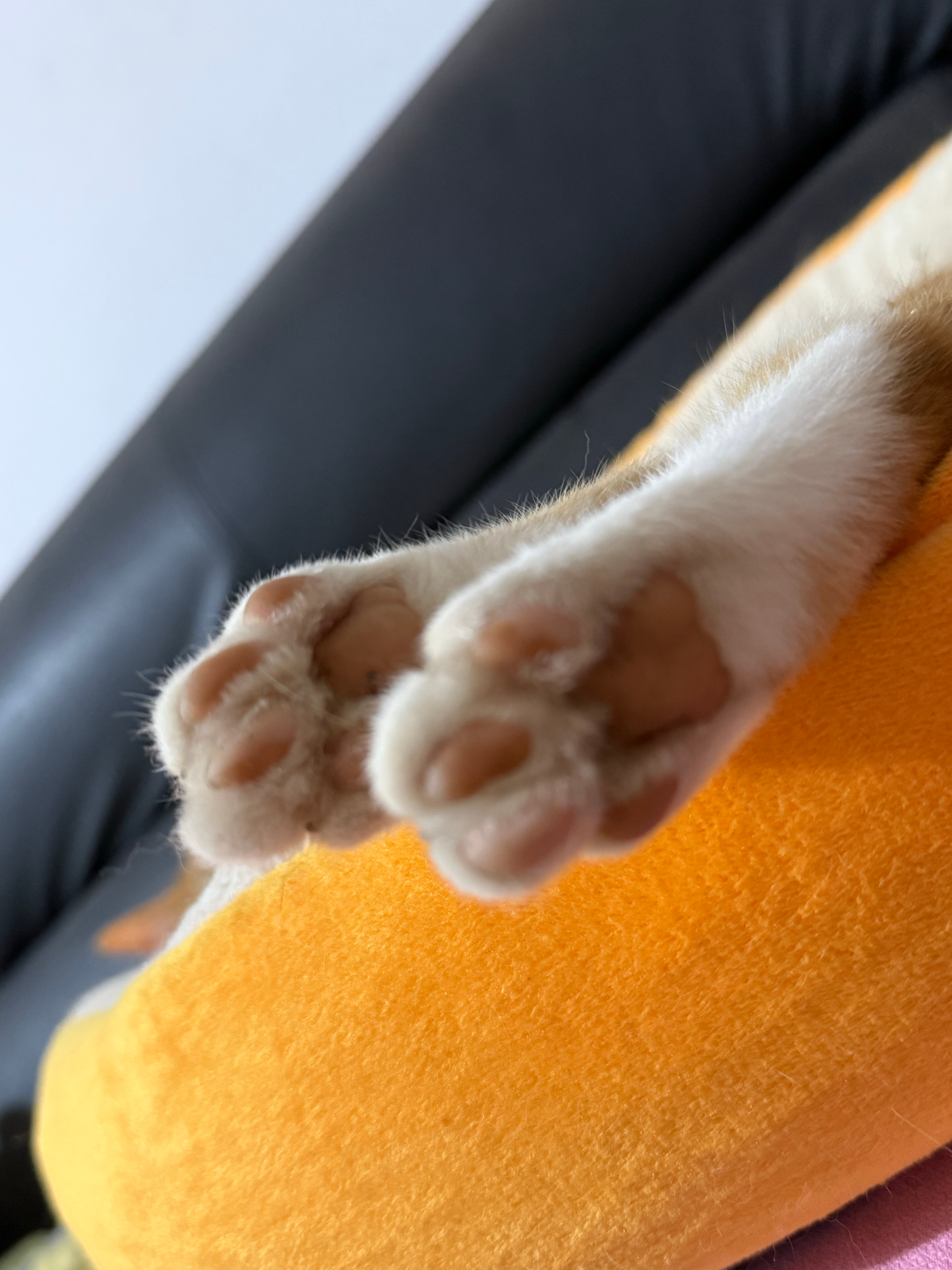 又串门