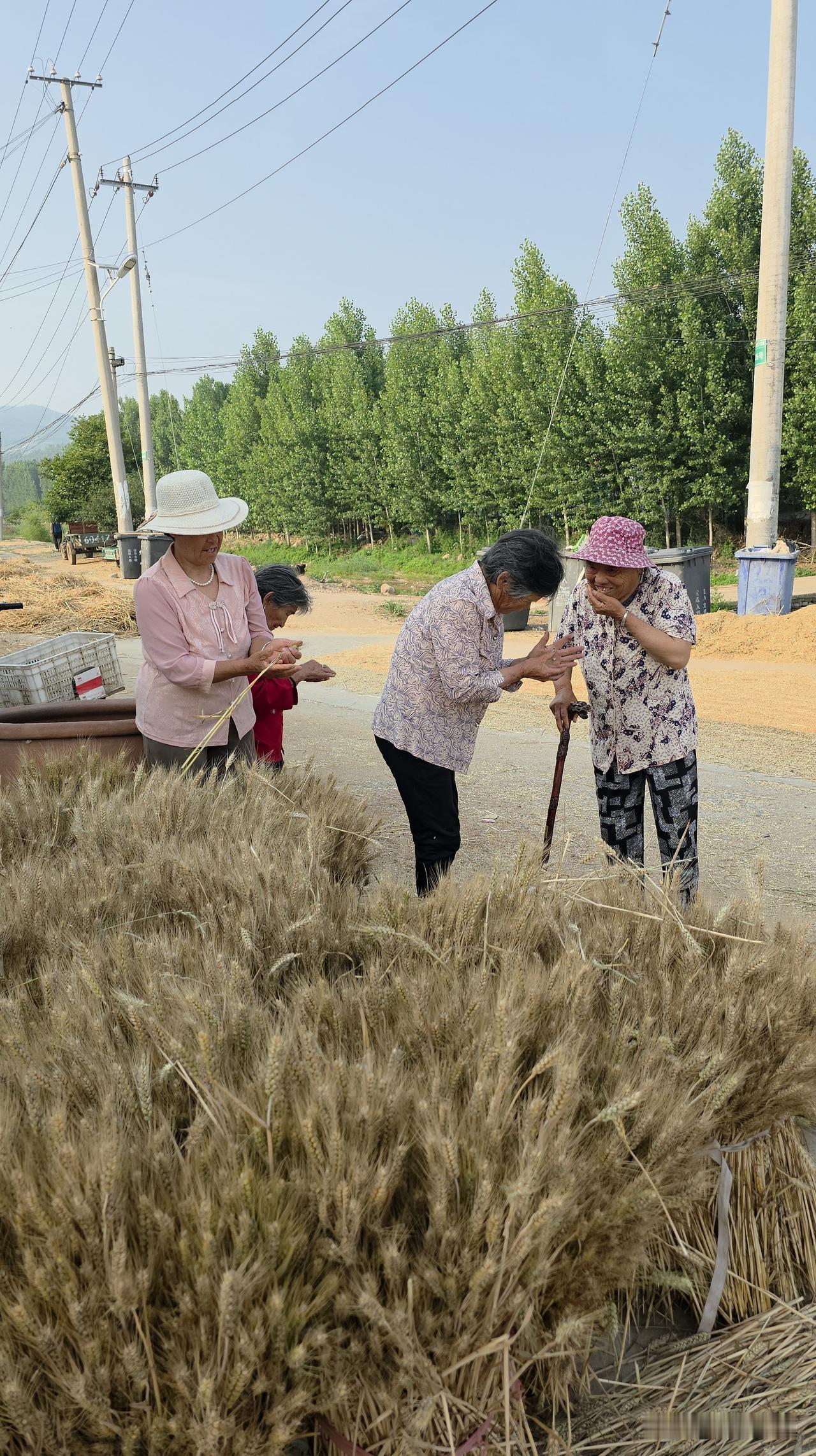 乡村最大的优势是什么……

毫无疑问，什么成熟吃什么，什么新鲜吃什么。无论蔬菜还