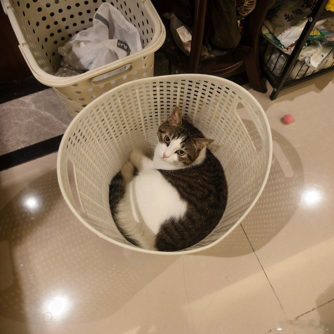 分享图片 