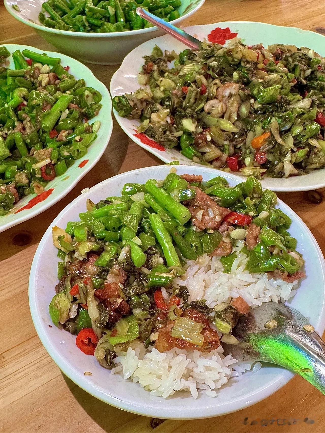 赣州炒菜真的太香了，我又跑去烂泥村这家炒菜馆吃啦！赣州菜那味道，简直是刻在我DN
