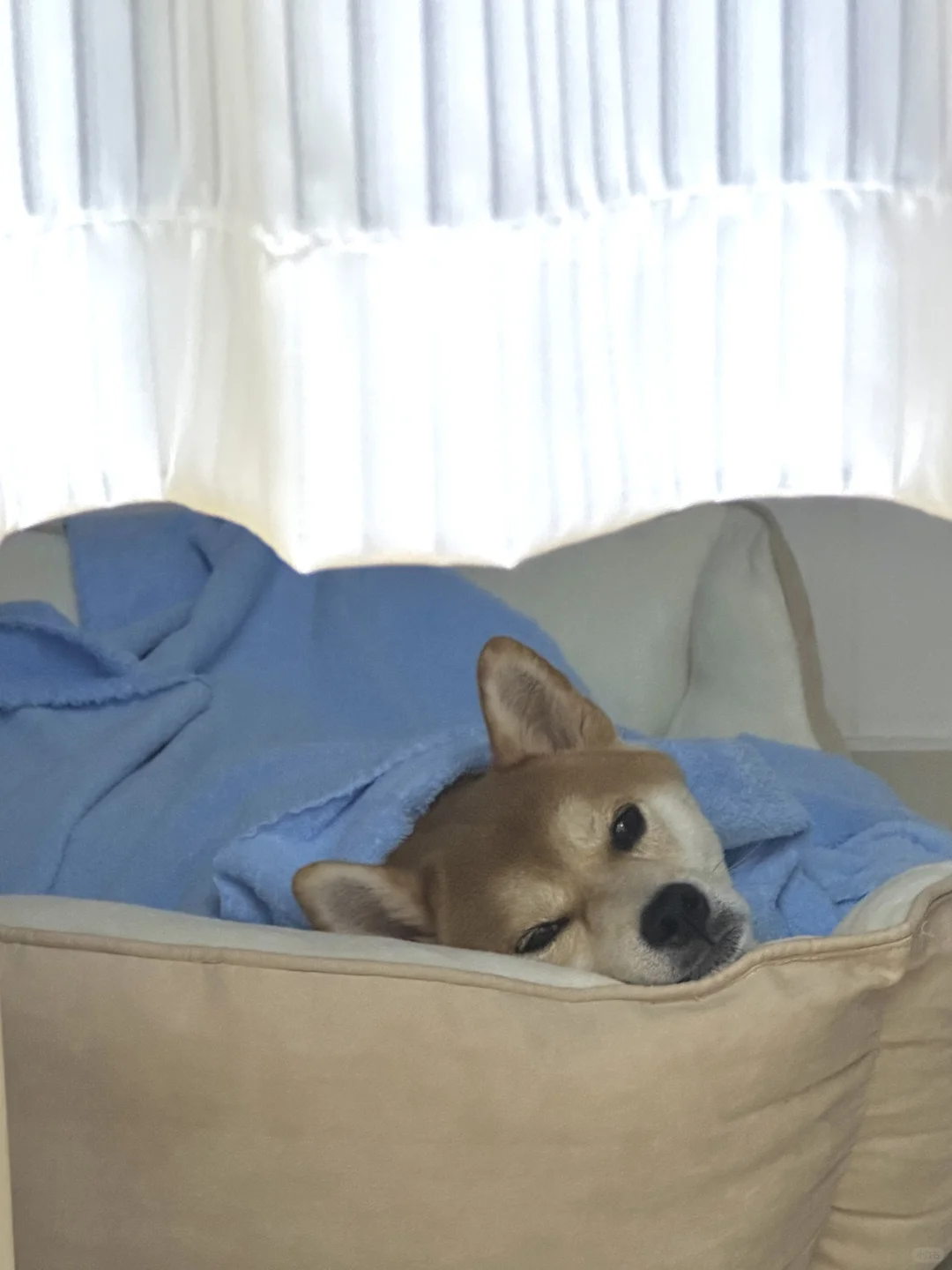 good night .